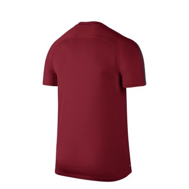 koszulka NIKE DRY SQUAD 807243-687