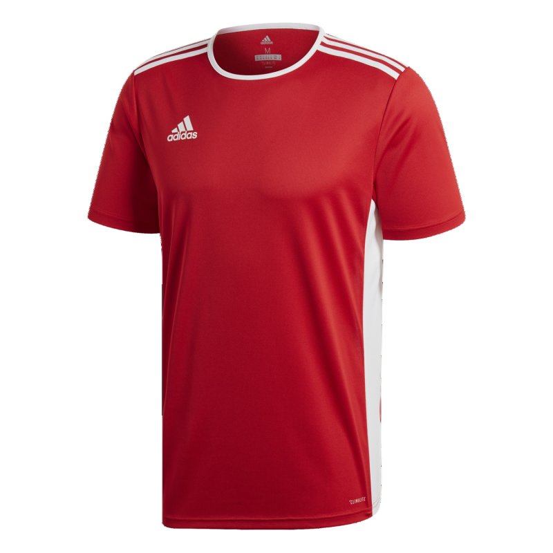 koszulka ADIDAS JR ENTRADA 18 CF1038