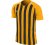 koszulka NIKE JR STRIPED DIVISION III 894102-739 