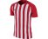 koszulka NIKE JR STRIPED DIVISION III 894102-658