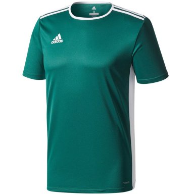 koszulka ADIDAS JR ENTRADA 18 CE9563