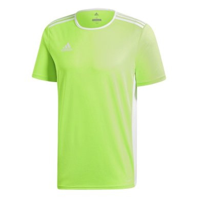 koszulka ADIDAS JR ENTRADA 18 CE9755