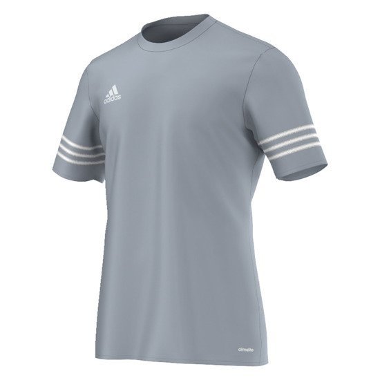 koszulka ADIDAS ENTRADA 14 Jr F50493