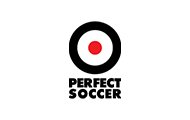Perfect Soccer