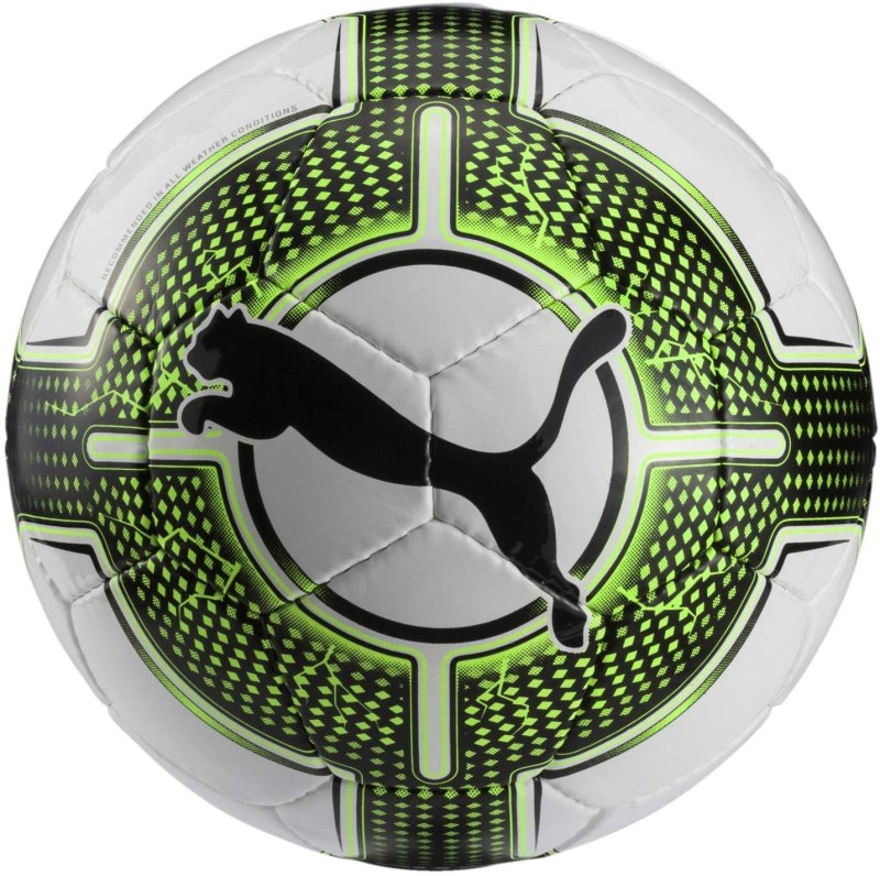 pilka PUMA evoPOWER 5.3 082567 31