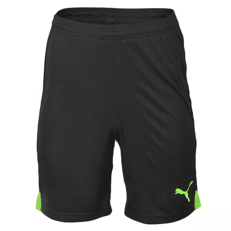 spodenki PUMA TRAINING 655208 50 