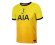 koszulka NIKE JR TOTTENHAM HOTSPUR 20/21 BREATHE THIRD STADIUM CK7893-720