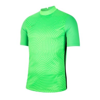 bluza bramkarska NIKE GARDIEN III GK BV6714-398
