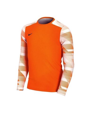 bluza bramkarska NIKE JR DRY PARK IV CJ6072-819