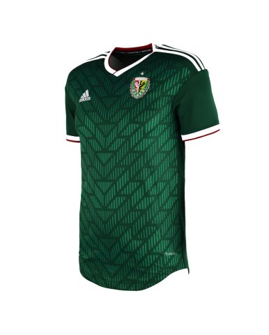koszulka ADIDAS ŚLĄSK WROCŁAW 2019/20 DOMOWA Jr (CY6678)