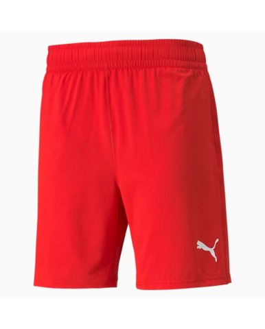 PUMA TEAMFINAL SHORTS