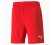 PUMA TEAMFINAL SHORTS