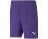 PUMA JR TEAMRISE SHORT PRIST