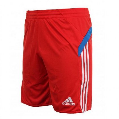 spodenki ADIDAS PARSO 13 Z25547 