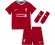 komplet dziecięcy NIKE BREATHE LIVERPOOL F.C 20/21 HOME CZ2653-687