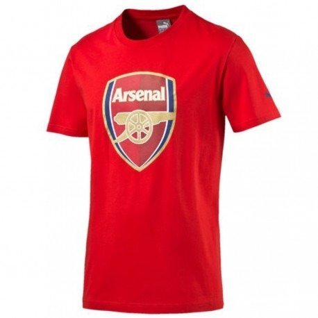 koszulka PUMA ARSENAL LONDYN FAN TEE 749297 011 